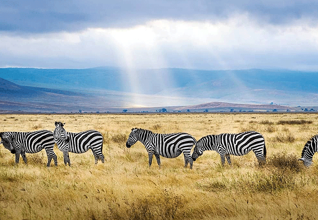 Lemala Osonjoi Lodge Ngorongoro Crater Tanzania