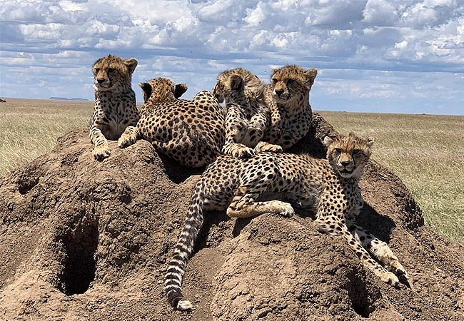 Lemala Osonjoi Lodge Ngorongoro Crater Tanzania