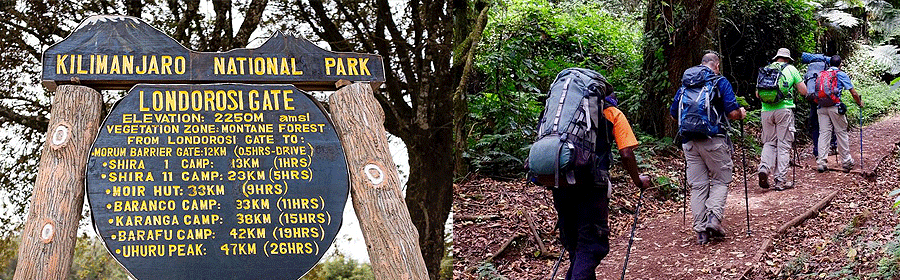 Climbing Mount Kilimanjaro on the Lemosho Route