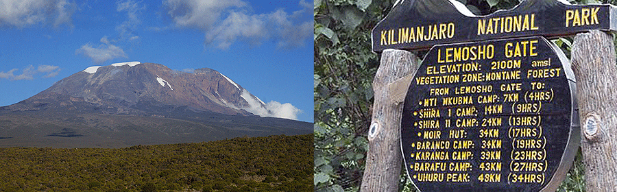 Mount Kilimanjaro Lemosho Route