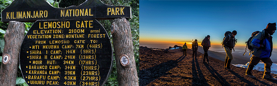 Lemosho Route Climb Kilimanjaro