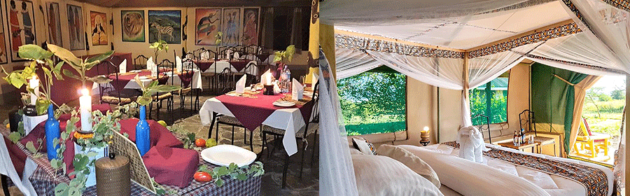 Africa Safari Serengeti Ikoma Lodge Tanzania