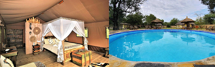 Africa Safari Selous Lodge Nyerere National Park Tanzania