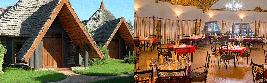 Farm of Dreams Lodge