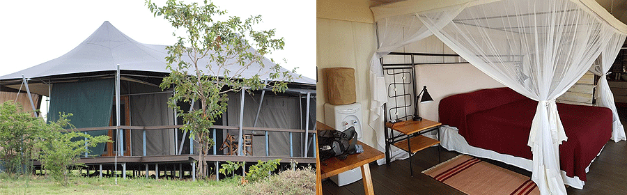 Mara Mara Tented Lodge Serengeti National Park