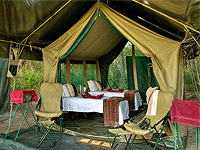 Losirwa Camp, Lake Manyara – Lake Manyara National Park
