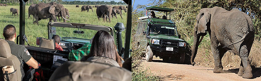 Masai Mara National Reserve