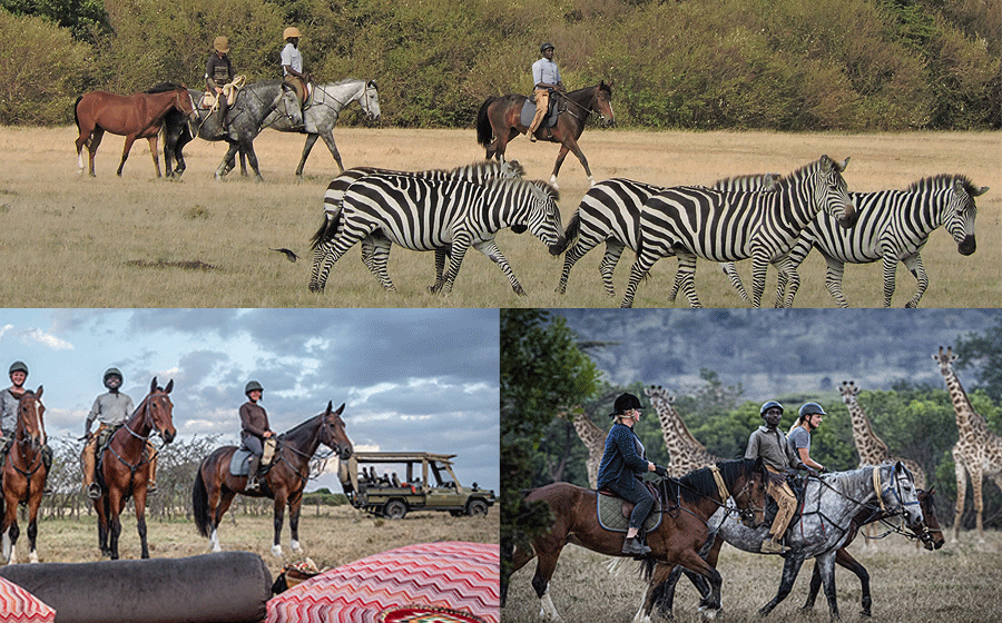 Masai Mara Horseback Riding Safari 2 Hours