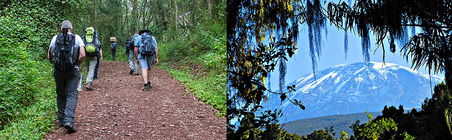Machame Route - Mount Kilimanjaro