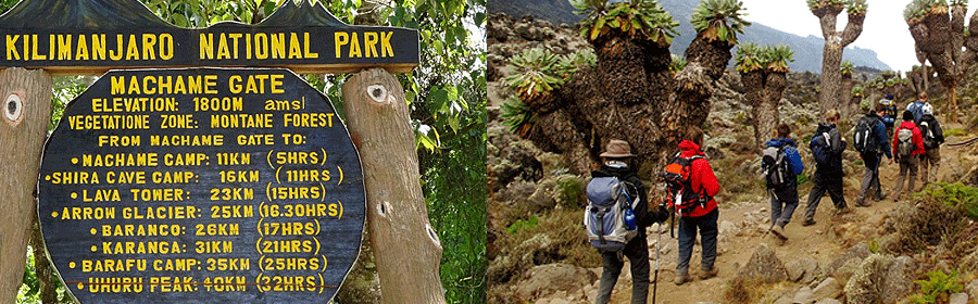 Machame Route Kilimanjaro Climb