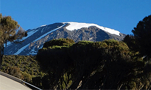 6 Days 5 Nights Mt Kilimanjaro Climbing, Hiking & Trekking (Machame Route) – From Arusha or Moshi Tanzania