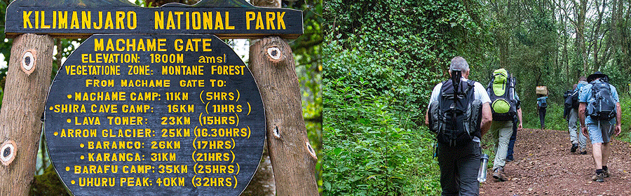 Machame Route - Climb Kilimanjaro