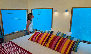 9 Days 8 Nights Tanzania Fly-in Beach Hoilday Manta Resort - Pemba Island