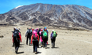 6 Days 5 Nights Mt Kilimanjaro Climbing, Hiking & Trekking (Marangu Route) – From Arusha or Moshi Tanzania