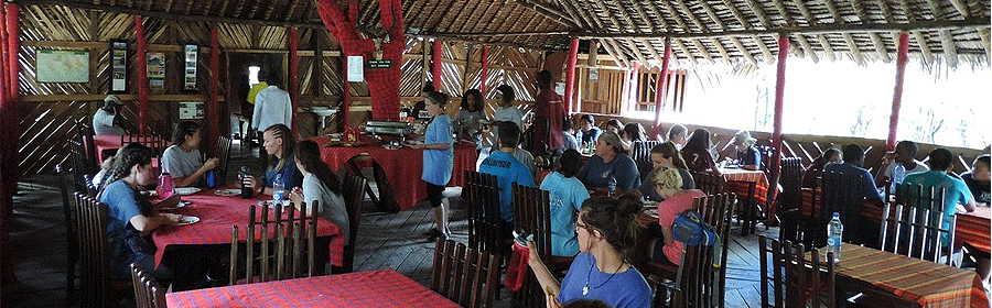 Budget Camping Safaris