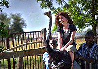 Masai Ostrich Farm 1 Day Tour from Nairobi – Kenya