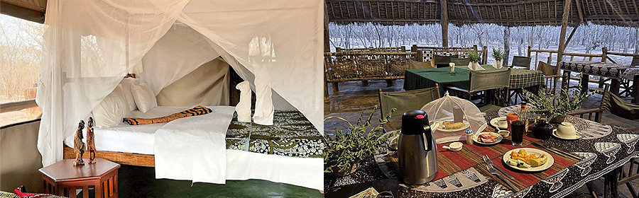 Angalia Tented Camp Mikumi National Park Tanzania