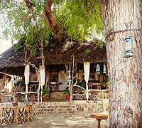 Mikumi Wildlife Camp– Mikumi