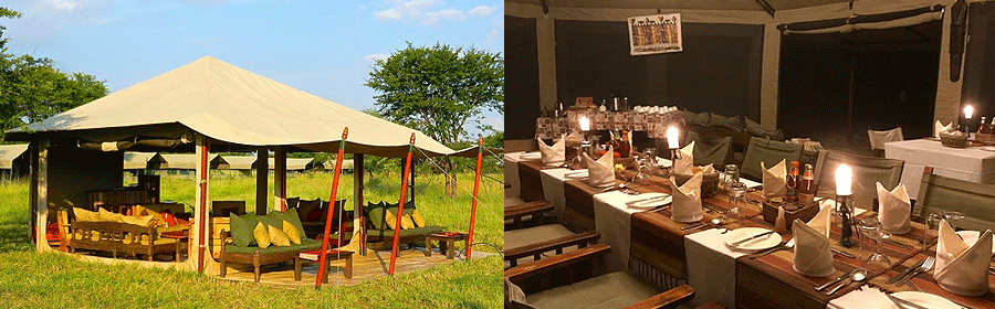 Wildlands Mobile Camp Serengeti Tanzania