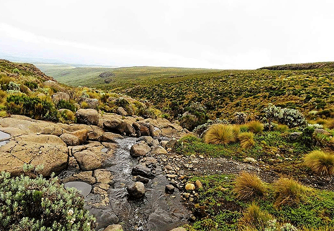 Mount Kenya Climbing 2 Days 1 Night Trekking Trip
