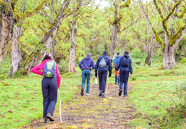 Mount Kenya Climbing 2 Days 1 Night Trekking Trip