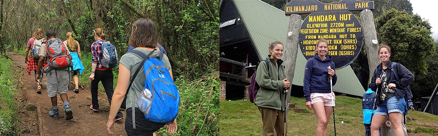 Mt Kilimanjaro Day Hikes Treks
