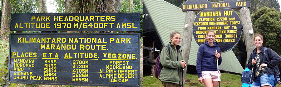 Marangu Route Climbing Mt Kilimanjaro