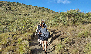 10 Days 9 Nights Kenya Safari – Amboseli, Hell’s Gate National Park, Mt Longonot National Park, Lake Nakuru, Lake Bogoria & Masai Mara (Driving) from Nairobi