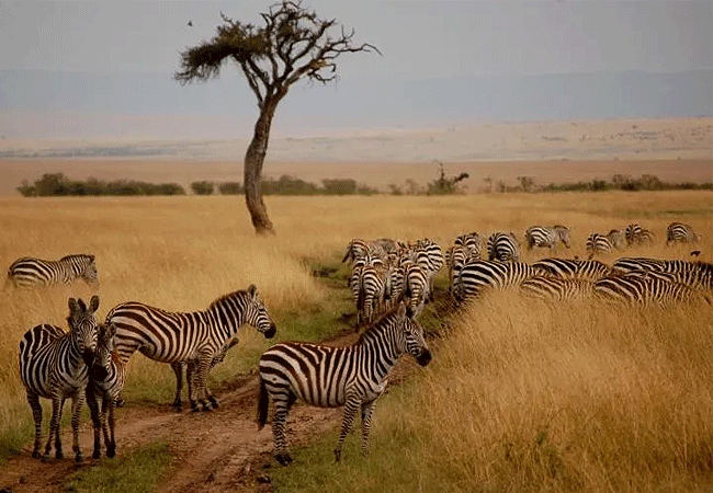 Mount Ololokwe Hiking & Camping Expedition