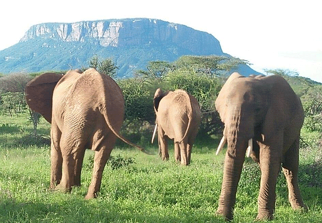 Mount Ololokwe Hiking & Camping Expedition