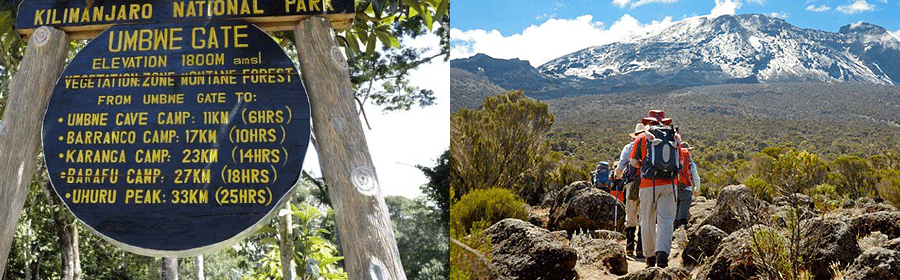 Climbing Mount Kilimanjaro Umbwe Route
