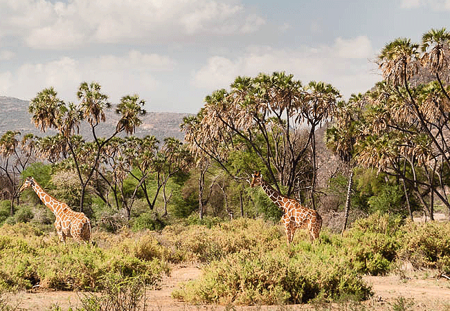 Mount Ololokwe Hiking & Camping Expedition