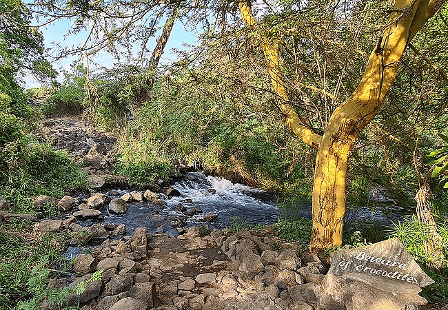 Tsavo West National Park