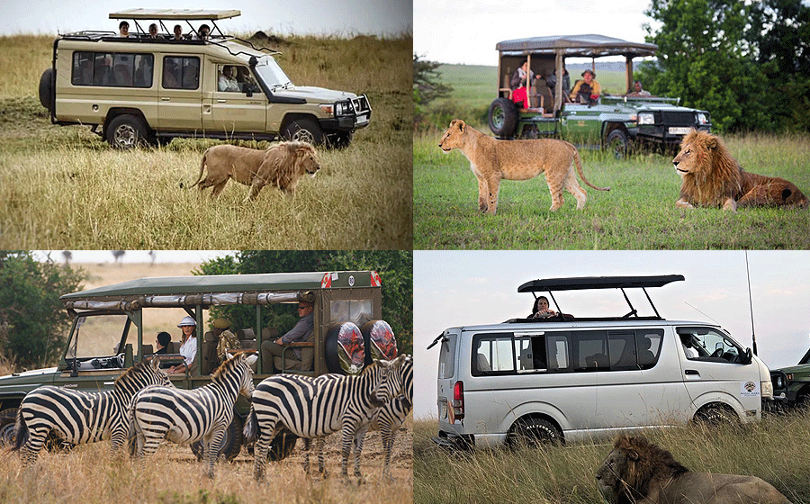 Nairobi National Park Day Tour