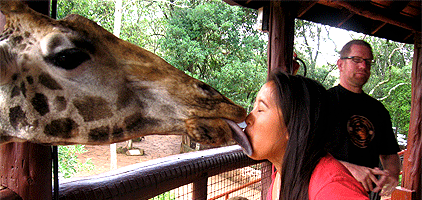 Nairobi Day Tour Giraffe Center