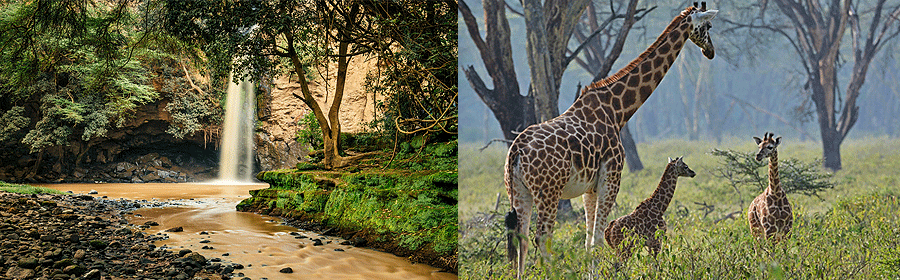 Lake Nakuru National Park