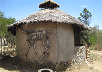 Nanyuki River Camel Camp – Nanyuki