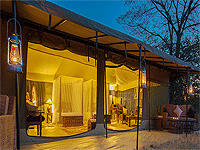 Naona Moru Camp, Central Serengeti – Serengeti National Park