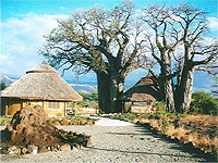 Ol Mesera Tented Camp, Mto Wa Mbu – Lake Manyara National Park