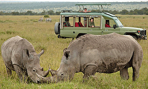 9 Days 8 Nights Kenya Road & Air Safari: Ol Pejeta, Samburu & Masai Mara from Nairobi