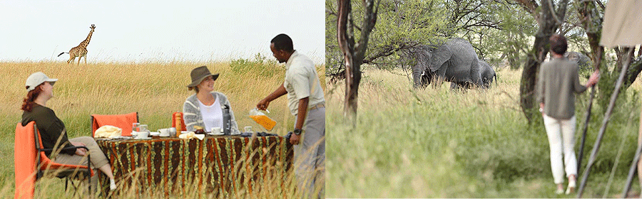 Olakira Migration Camp Serengeti Tanzania