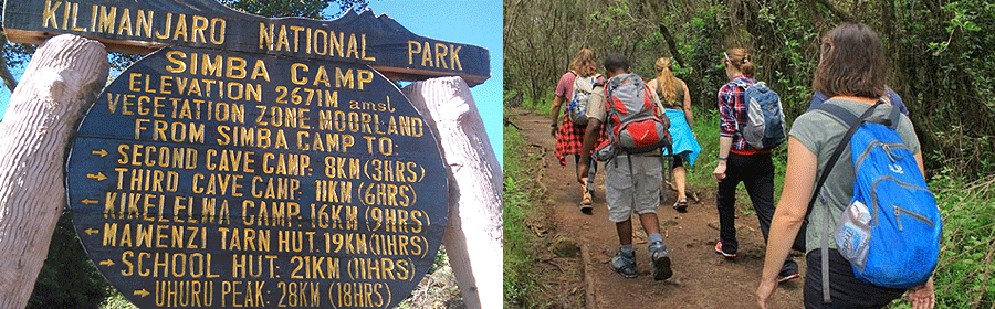 Rongai Route Kilimanjaro