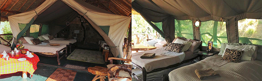 Sabache Camp Samburu