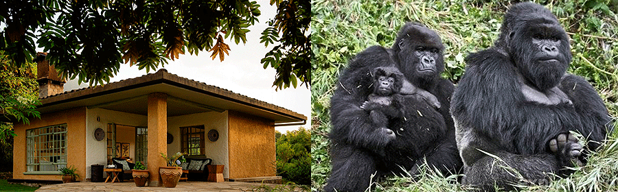 10 Day Kenya & Rwanda Fly-in Safari Naivasha Masai Mara Volcanoes