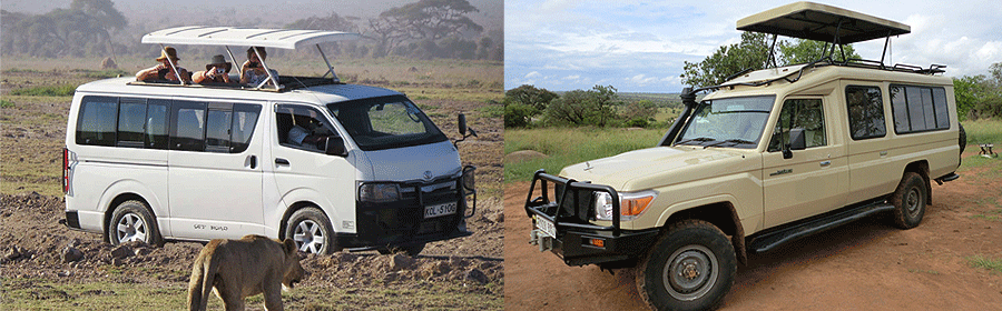Safari vehicles