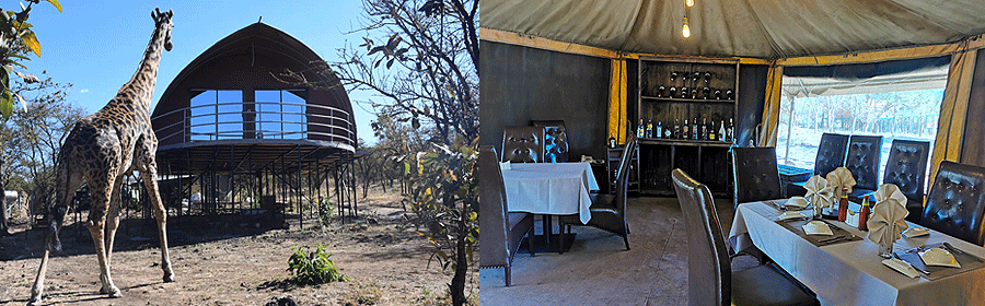 Ngorongoro Safari Lodge Tanzania