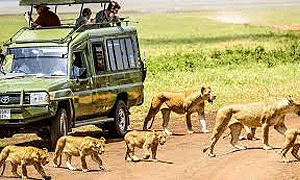 AndBeyond Ngorongoro Crater Lodge 1 Night/ 2 Nights/ 3 Nights or more Fly-in Luxury Safari