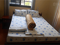 Sarah Lodge, Mugumu– Ikorongo Game Reserve