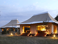 Sayari Camp , North Serengeti – Serengeti National Park