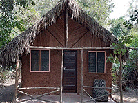 Selous Adili Forest Camp – Selous Game Reserve